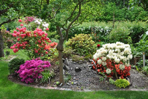 Azaleor