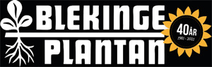 Blekingeplantan