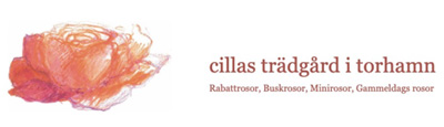 Cillas Trädgård