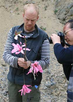 Henrik Sjöman