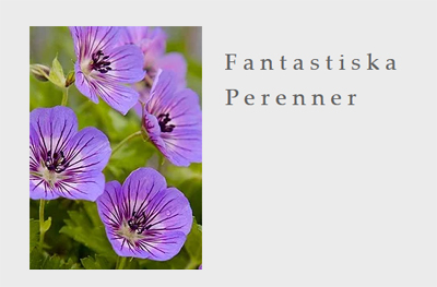 Plantskolan, Johannishus